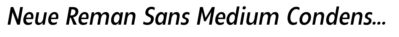 Neue Reman Sans Medium Condensed Italic image